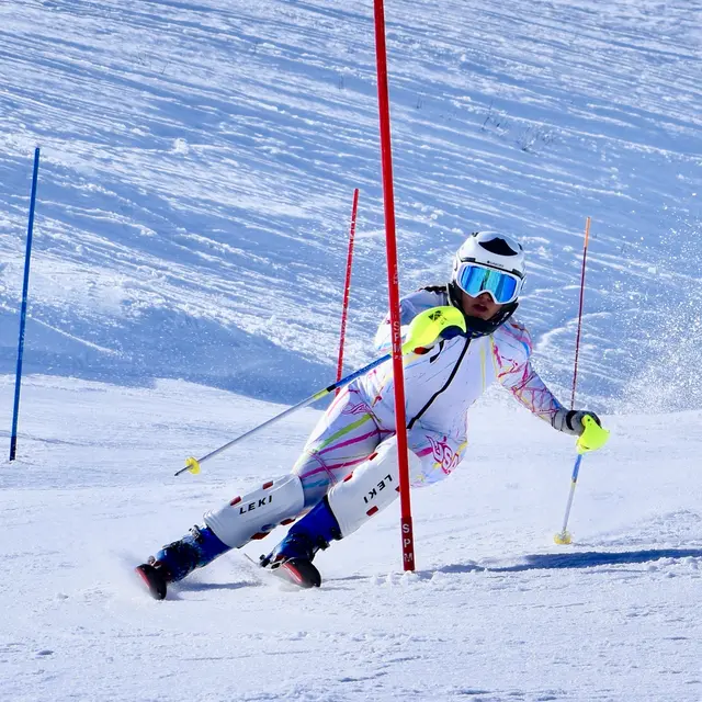 Ski
