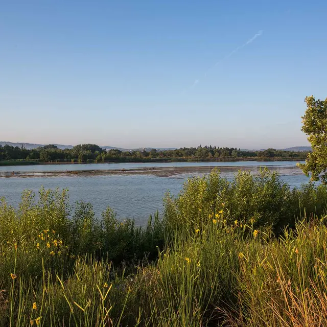 Nature en famille : de la Garrigue à l'observation des oiseaux_Mérindol