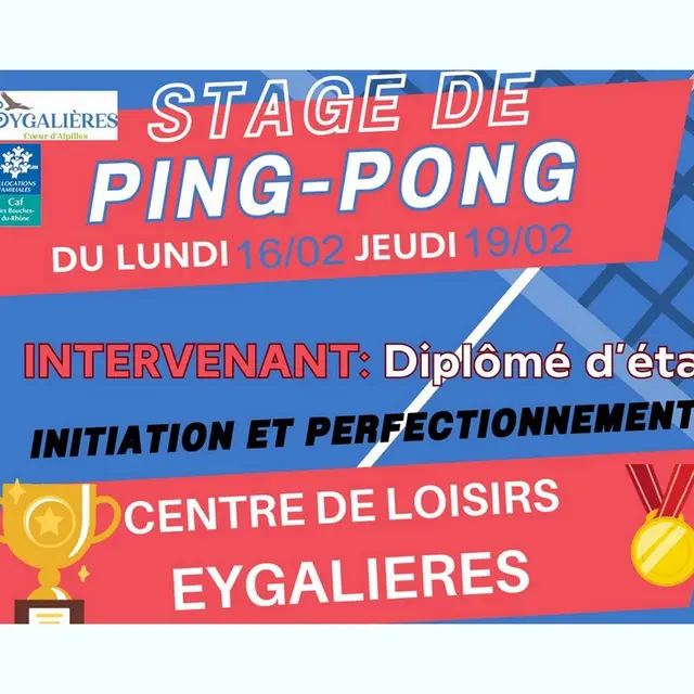 Initiation et perfectionnement au ping-pong à Eygalières 16.02 au 19.02.26