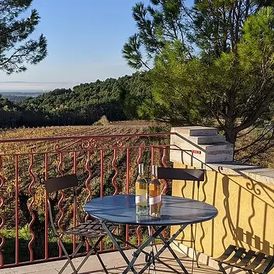Pique-nique en plein air au Clos de Caveau_Vacqueyras