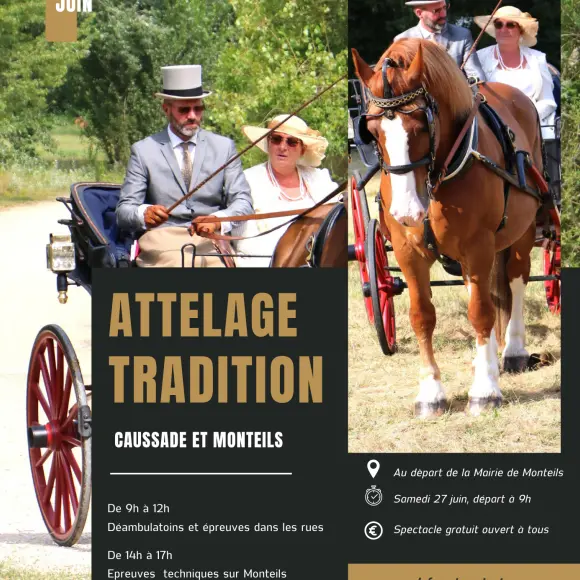 Concours d'attelage de tradition_Caussade