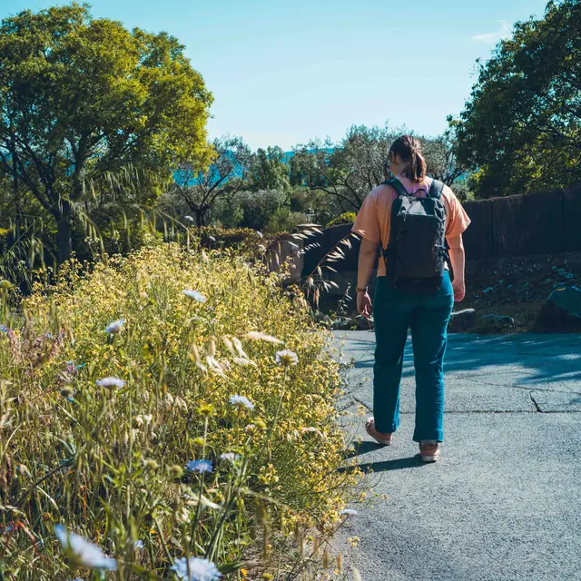 Sentier de Grimaud à Cogolin par la Réparade_Grimaud