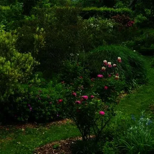 Jazz au jardin_Chabeuil