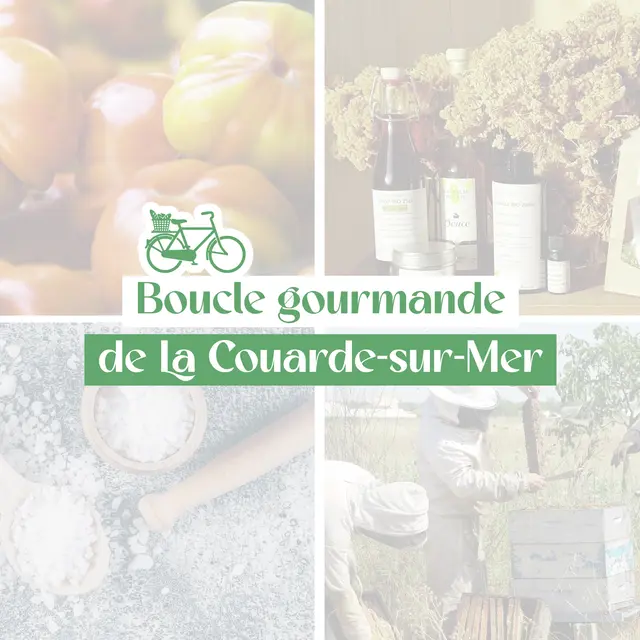 Boucle gourmande à vélo Centre 2_La Couarde-sur-Mer
