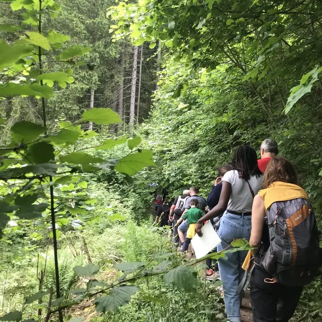 Festival Les Nuits des Forêts_Le Reposoir