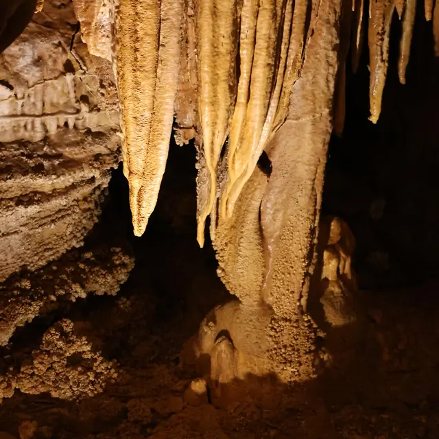 Grotte du Bosc_Saint-Antonin-Noble-Val