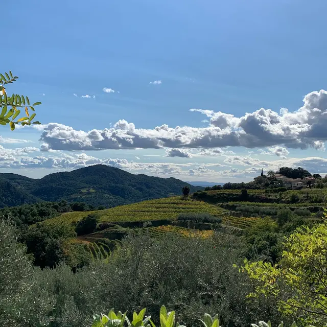 Domaine des Garances_Suzette