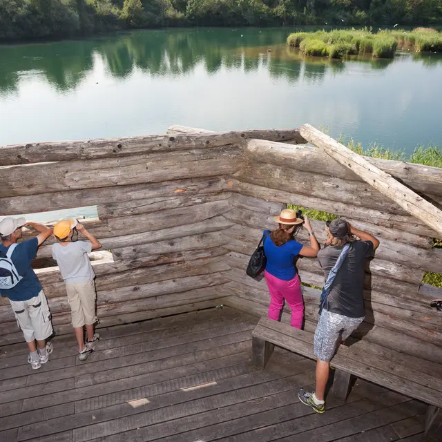 Visite de la réserve naturelle du delta de la Dranse