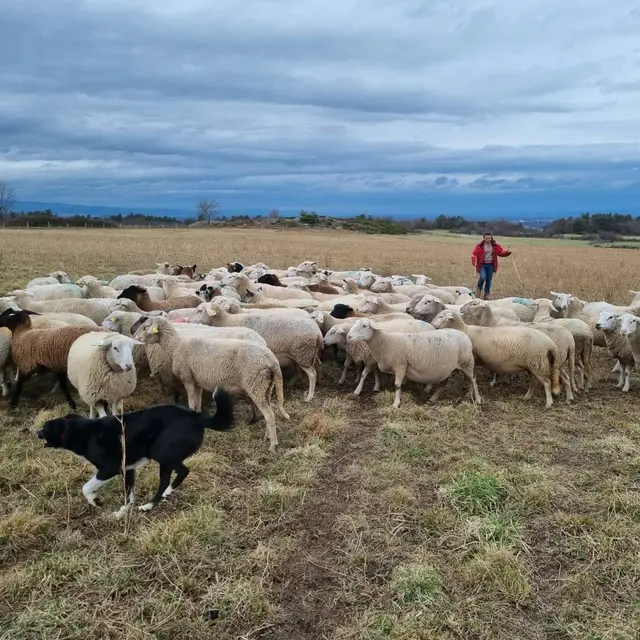 Galinette & Co - De ferme en ferme_Chambles