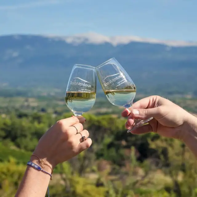 Balade vigneronne dans les ocres_Villes-sur-Auzon