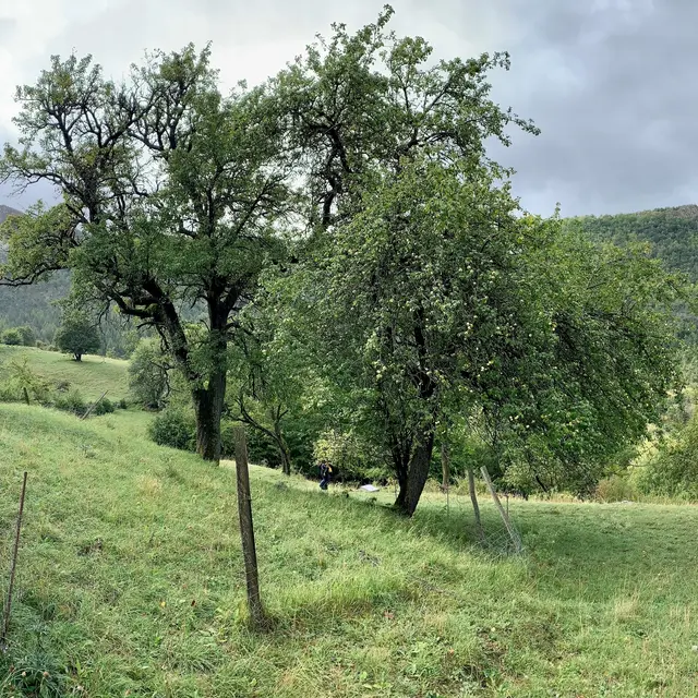 Sentier Marcel_Prads-Haute-Bléone