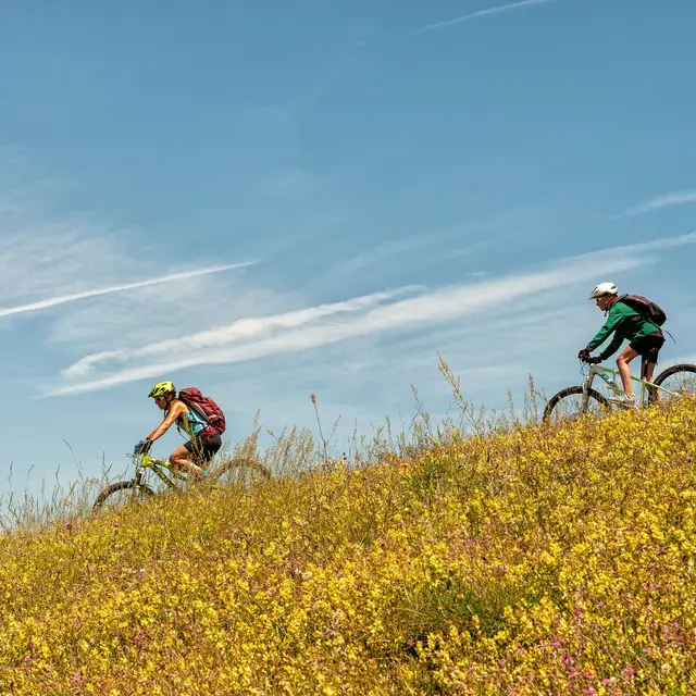 Liaison VTT - Selonnet - Seyne