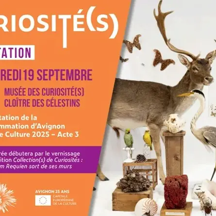 Présentation de l’ACTE 3 d’Avignon Terre de Culture 2025_Avignon