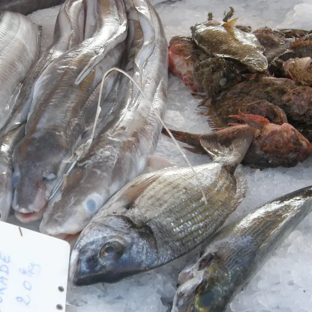 Marché aux poissons de Carro_Martigues