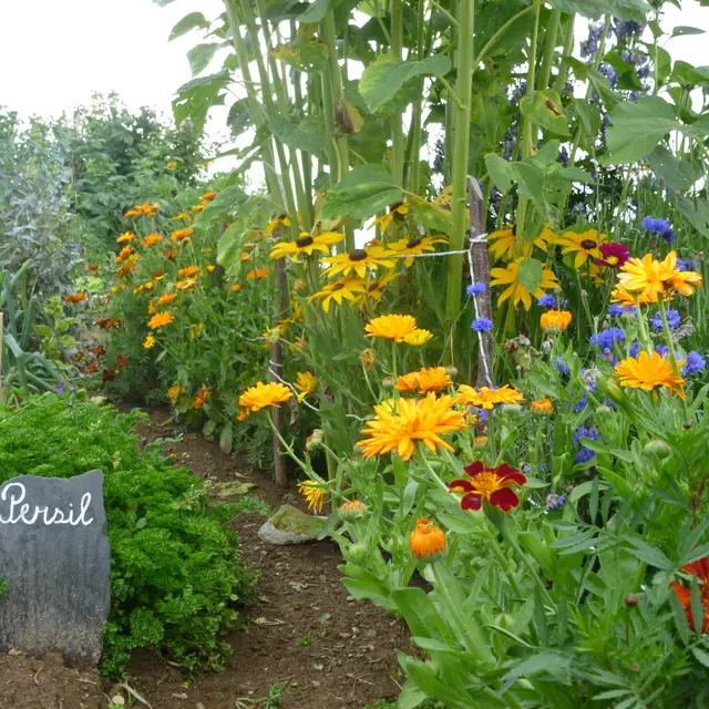 Le Jardin des Grands Prés