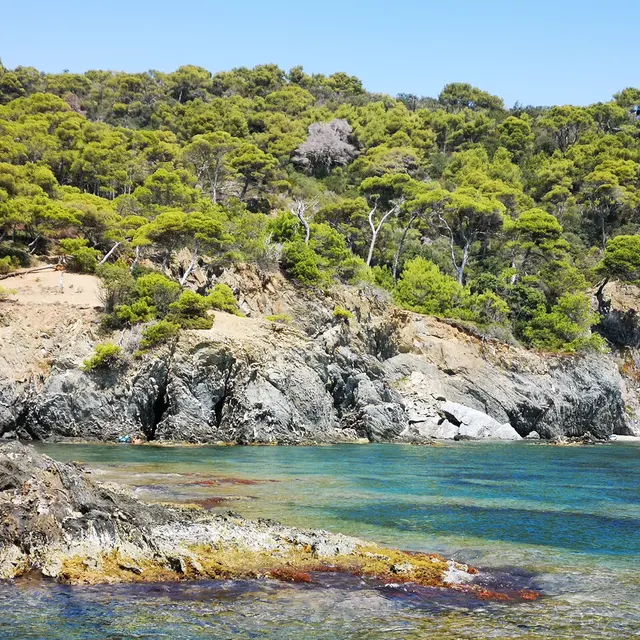 Balade pédestre - Autour de la presqu'île de Giens_Hyères