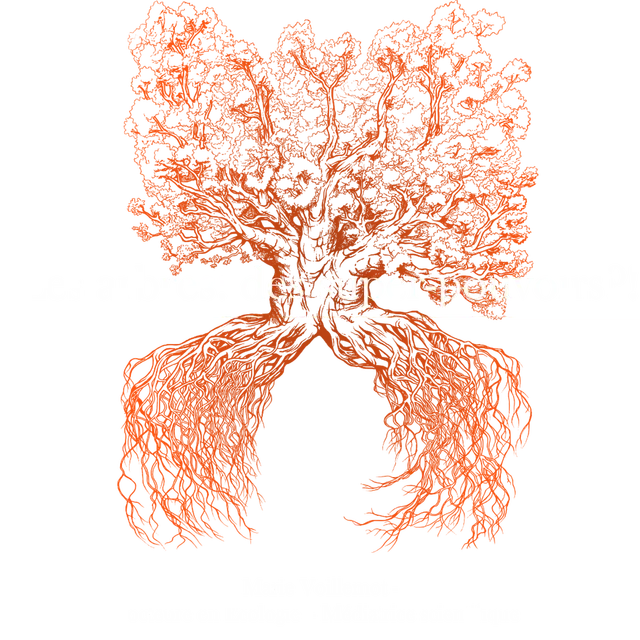 Conférence : Arbres, des super-pouvoirs?!_Les Orres