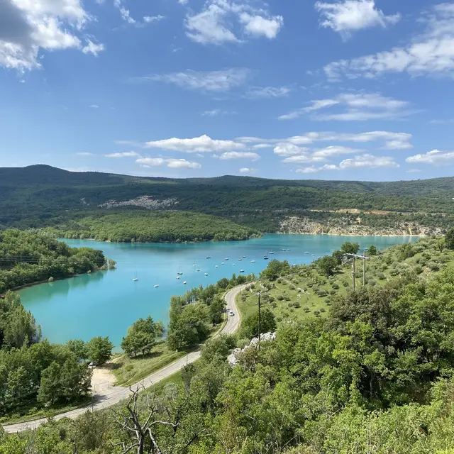 Visite commentée de l'Oliveraie de Bauduen_Bauduen