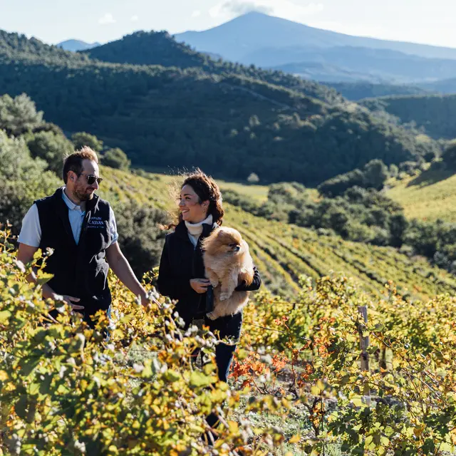 Balade et dégustation au cœur des Dentelles de Montmirail_Lafare