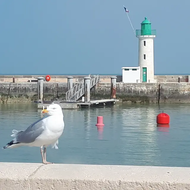 Vue face au phare