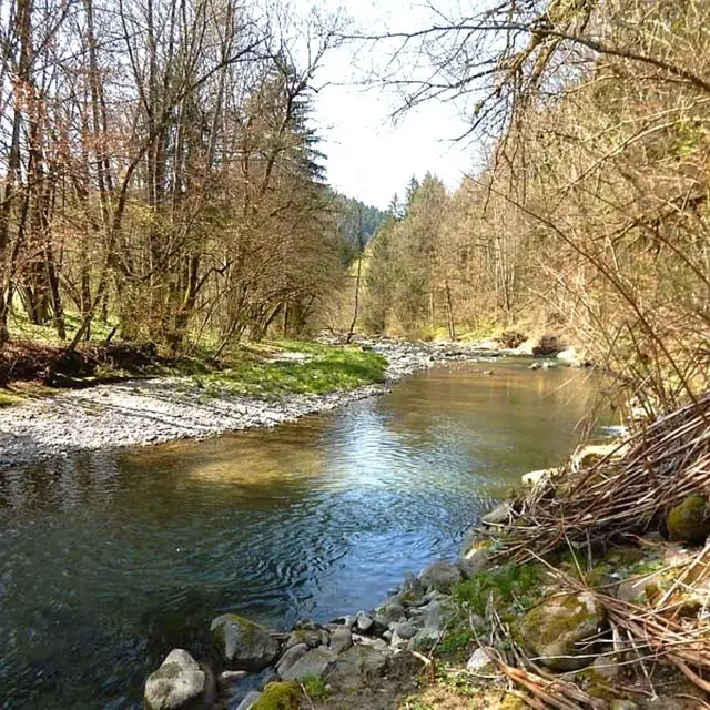 Parcours pêche à la mouche, La Menoge en Vallée Verte_Saint-André-de-Boëge