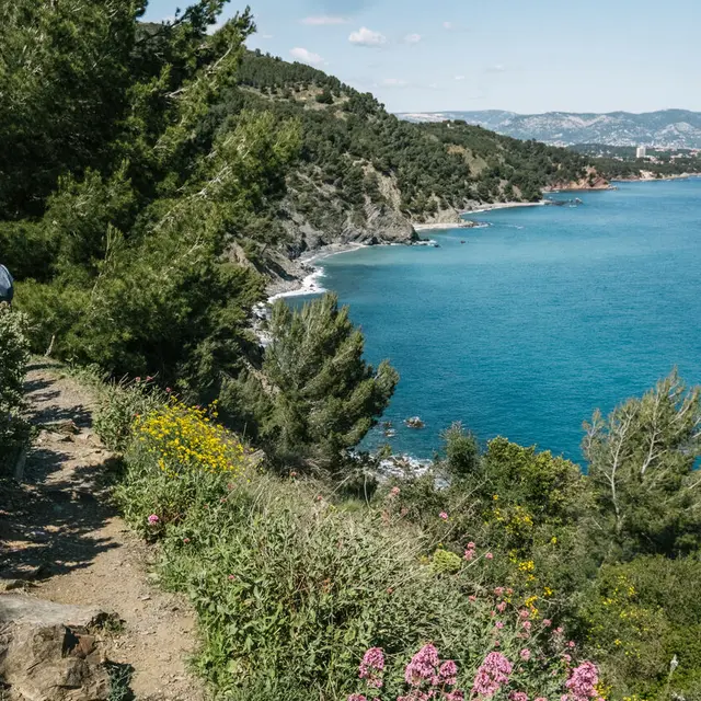 Randonnée sur le sentier du littoral à La Seyne_La Seyne-sur-Mer