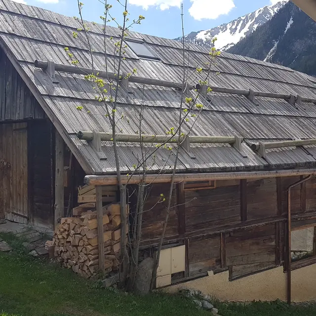 Edelweiss 1 entrée et longueur du chalet