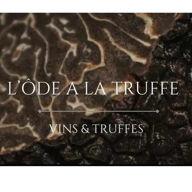 Ôde à la truffe_Châteauneuf-du-Pape