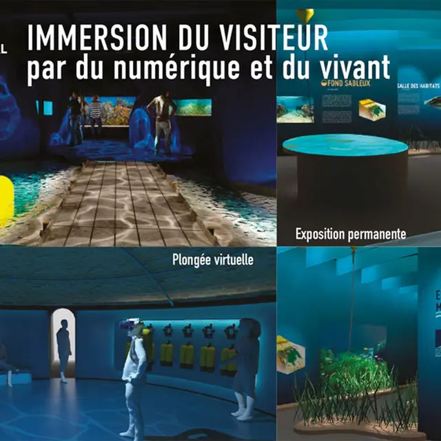 Mission Méditerranée à Posidonia - Espace Mer et Littoral - Antibes_Juan-les-Pins