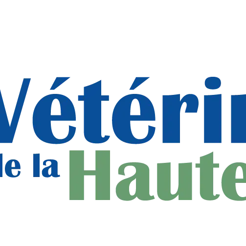 Logo Couleurs.png