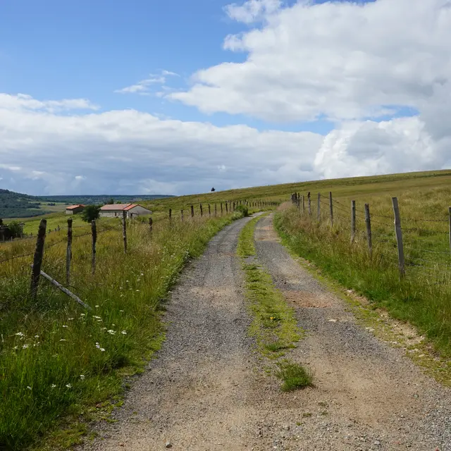 Rando Fourme en VTTAE_Roche-En-Forez