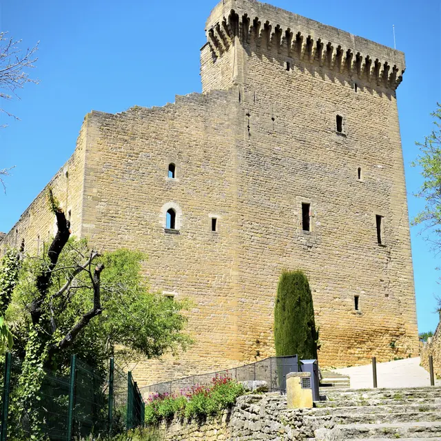 Château des Papes_Châteauneuf-du-Pape