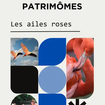 Patrimômes - Les Ailes Roses_Hyères