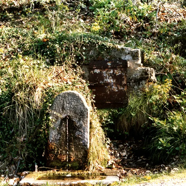 La fontaine des Dragons