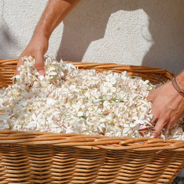 La Distillerie des Cueilleurs_Grasse