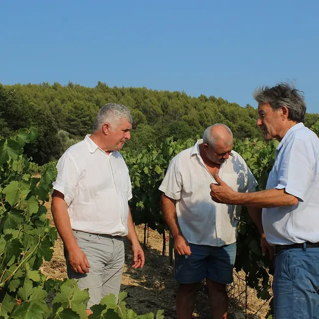 Domaine les Touchines à Saint Didier