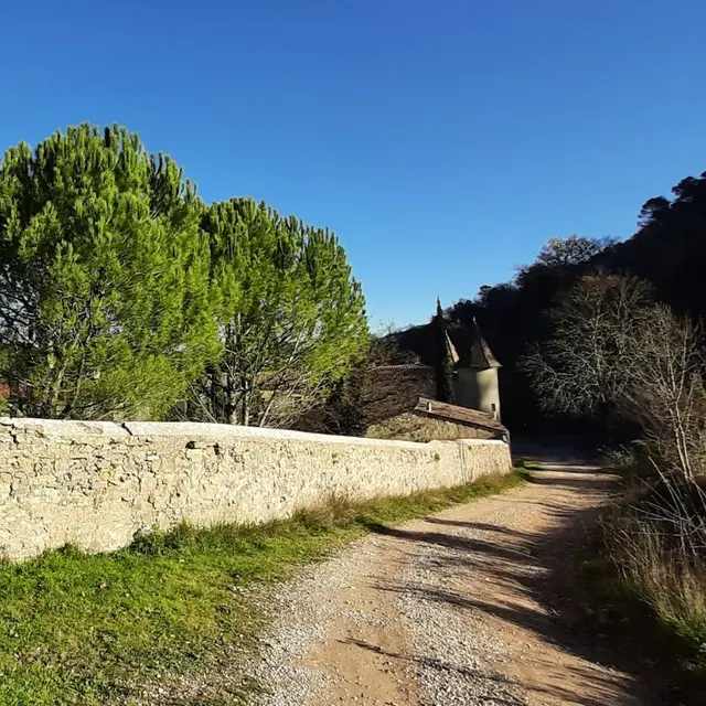 Secrets des herbes et plantes guérisseuses_Méounes-lès-Montrieux