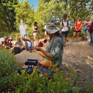 musique des plantes