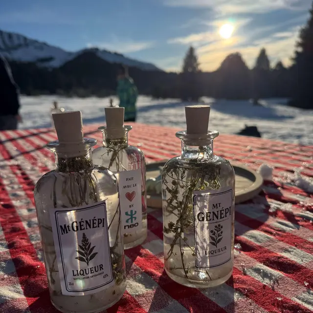 Atelier découverte et création de génépi_Saint-Gervais-les-Bains