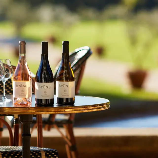 Domaine de Fontenille