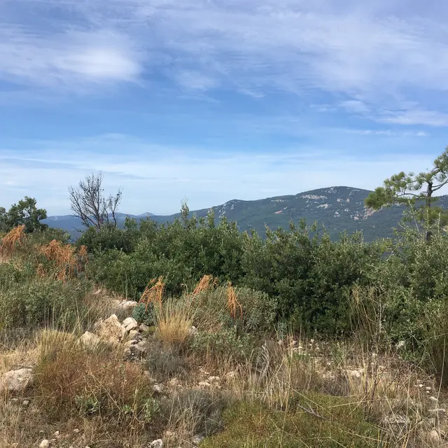 Vue panorama