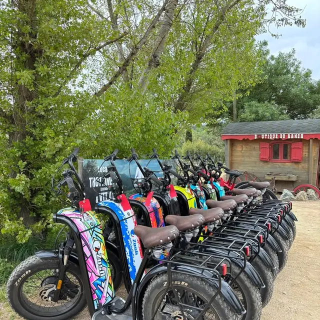 Location Trottinettes électriques
