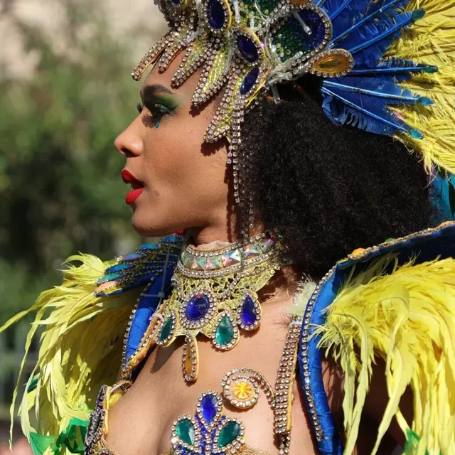 Carnaval d'Arles_Arles