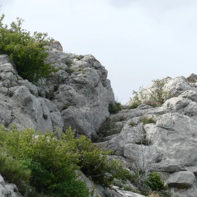 Les aménagements du site de Saint-Cyr : l’escalier