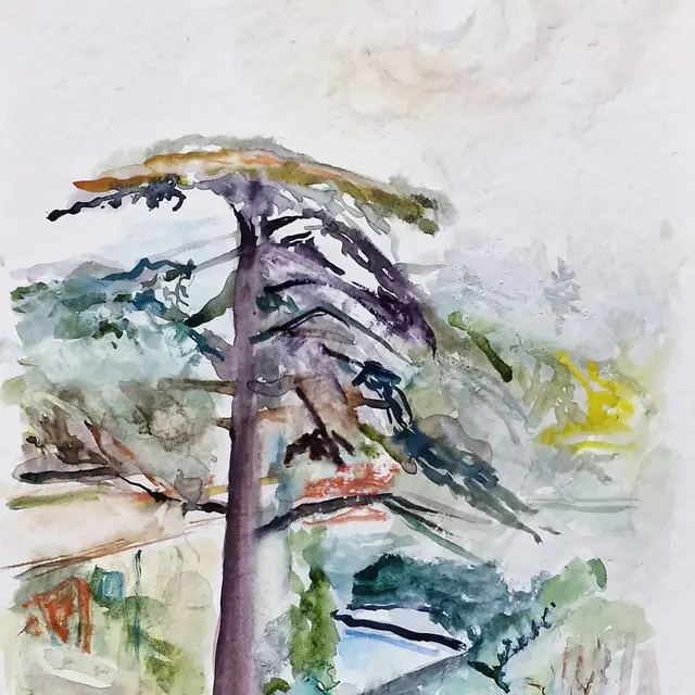 Exposition «Paysages» de Michel Steiner_Villeneuve-lez-Avignon
