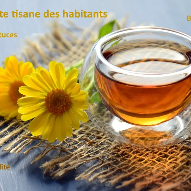 La petite tisane des habitants