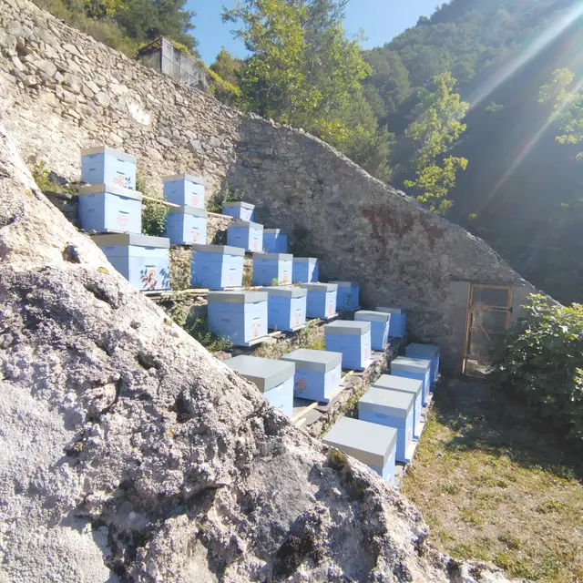 Maison d'Abeilles