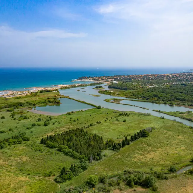 Demi_journee_Etangdevillepeypetitecamargueduvar