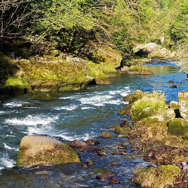 Les bords de Dranse