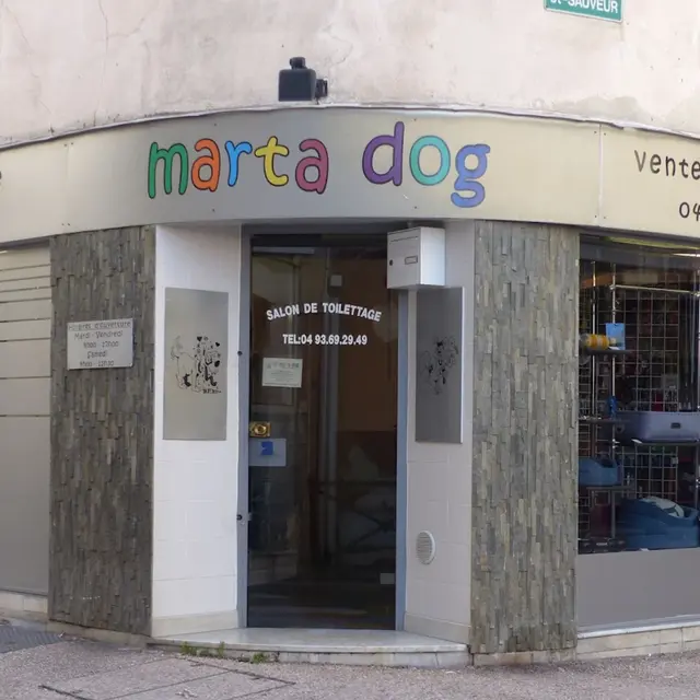 Marta dog_Le Cannet